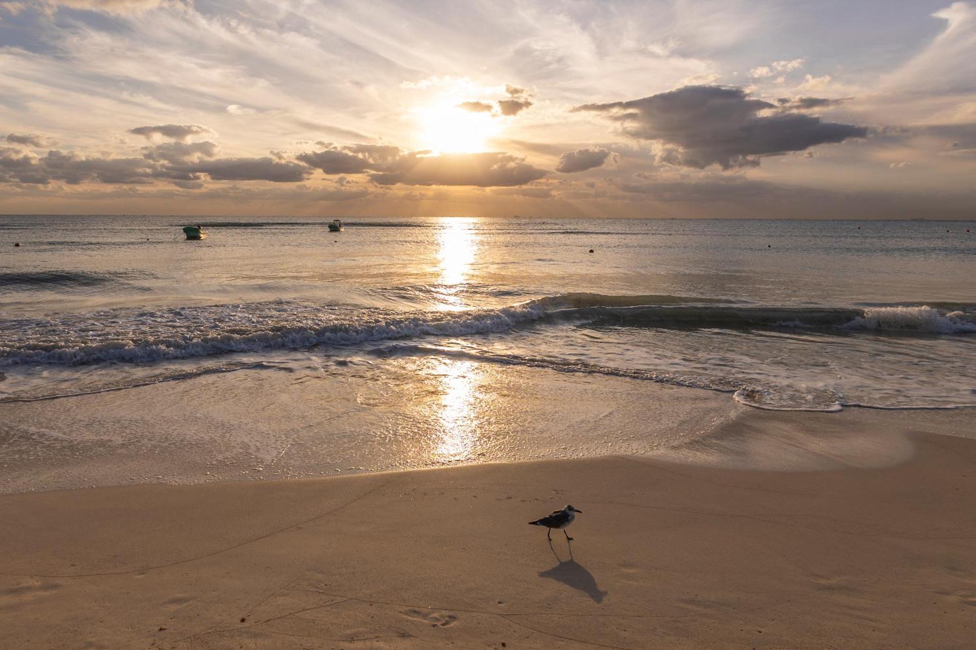 Areia Playa Del Carmen - Beach Front Hotel Exterior photo